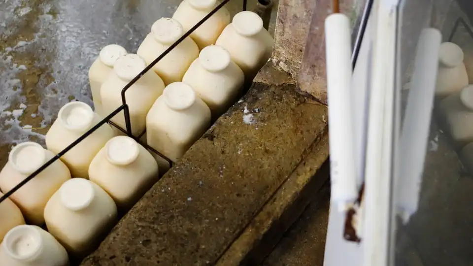 Photo for: Physicians’ group calls for ban on raw milk – as it’s becoming increasingly popular in the US
